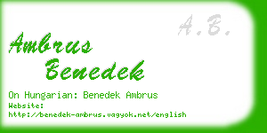 ambrus benedek business card